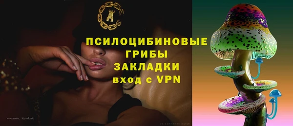 ешки Алексеевка