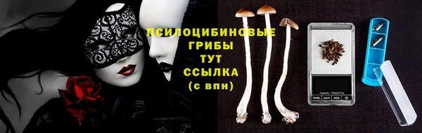 бошки Алексин
