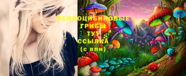 бошки Алексин